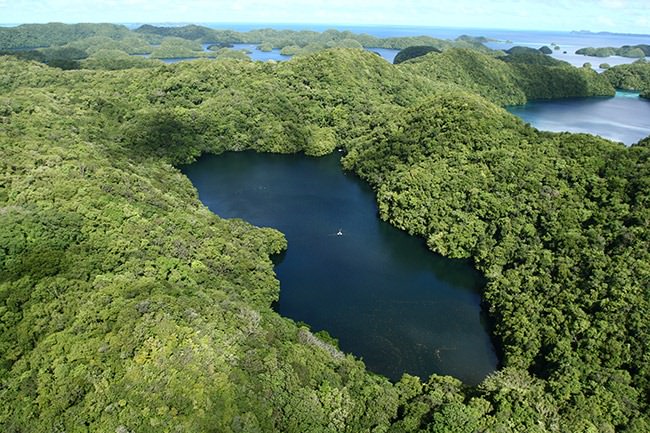 Jellyfish_Lake_aerial_(March_2008)