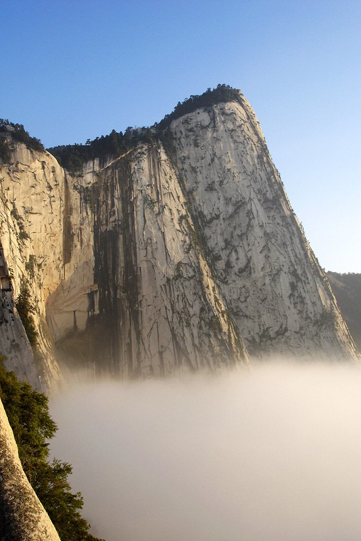 mt-hua