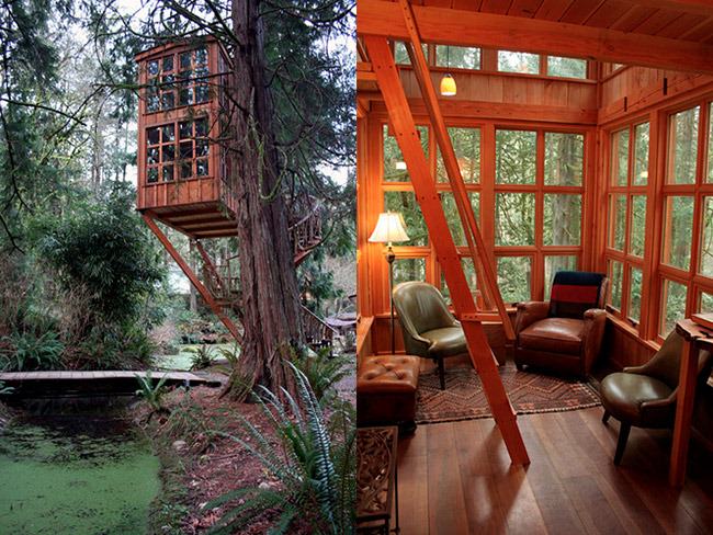 treehouse