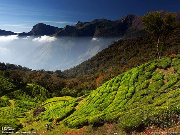 munnar