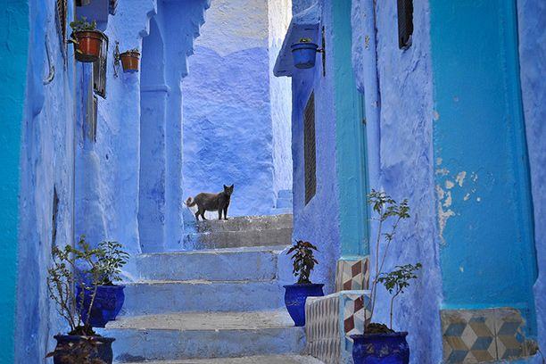 Chefchaouen, Morocco