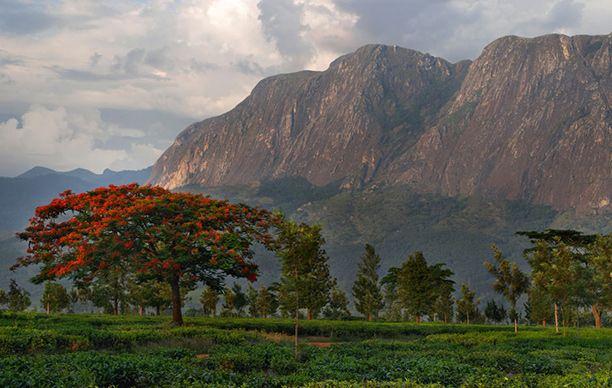 Mulanje Mountain, Malawi