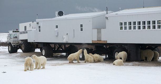 Churchill, Manitoba, Canada