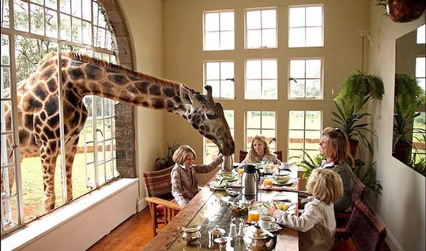 Giraffe Manor, Nairobi, Kenya