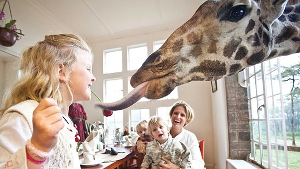 Giraffe Manor, Nairobi, Kenya