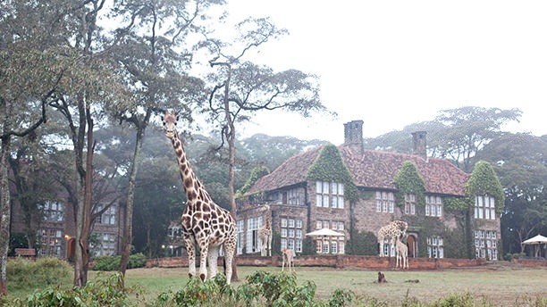 Giraffe Manor, Nairobi, Kenya