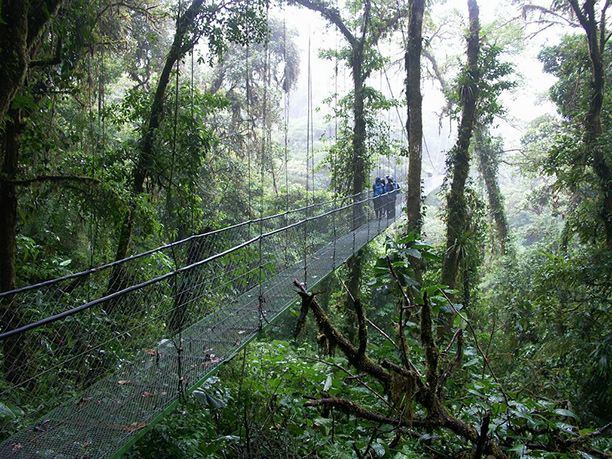 Sky Walk, Montverde Forest, Costa Rica