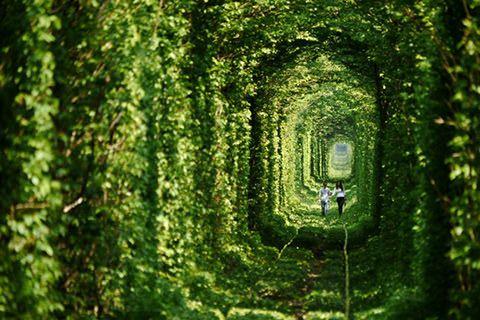 tunnel-of-love-2