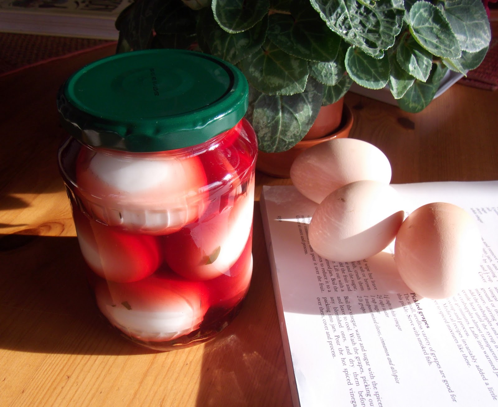 pickled eggs