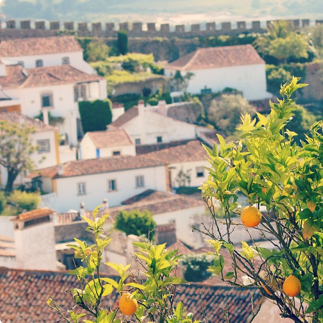 Walled Town of Obidos