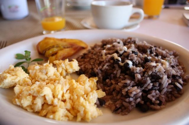 Gallo Pinto Images