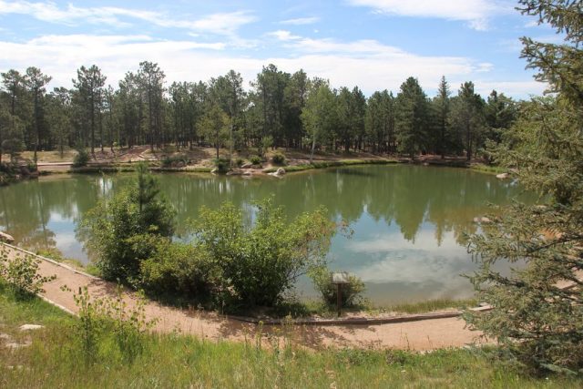 Cheap Things to Do in Colorado Springs Fox Run Regional Park Photos