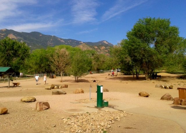 Things to do in Colorado Springs for Free Bear Creek Dog Park Images
