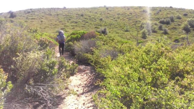 Arroyo Seco Trail Camp