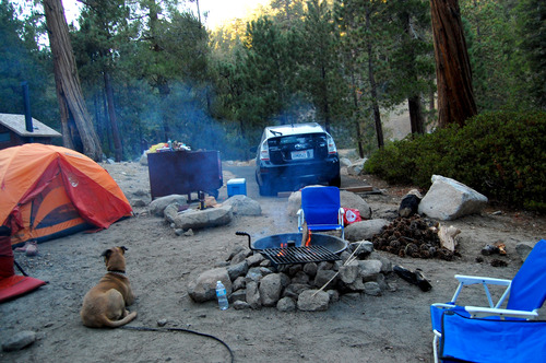 Buckhorn Southern California Forest Camping