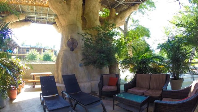 Deluxe Tree House Rentals in Texas