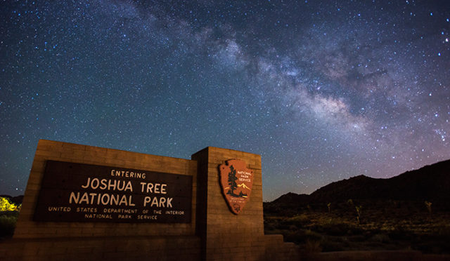 Joshua Tree National Park