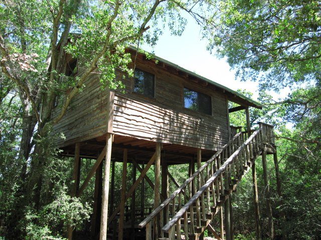 Magical Tree House Cottage in Texas Vacations