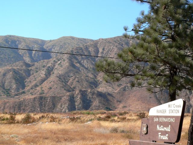 San Bernardino Campsite