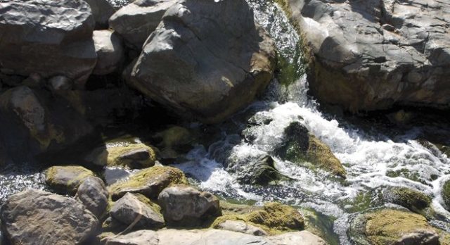 San Diego Hiking Trails with Waterfalls Los Penasquitos Canyon Trail