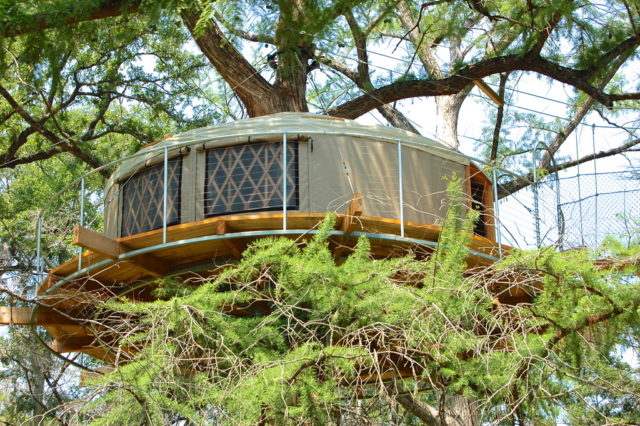 Tree House Rentals in Texas Lofthaven