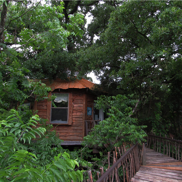 Tree House Rentals in Texas Savannah’s Meadow