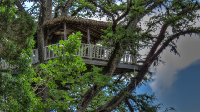 Tree House Texas Frio River Treetop