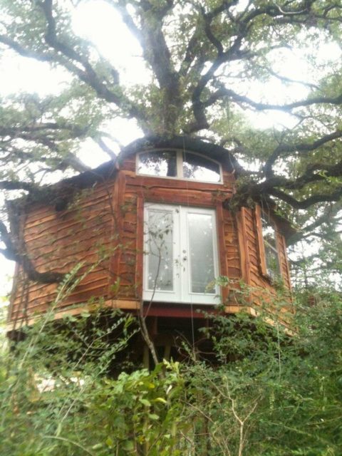Tree House Texas Savannah’s Meadow