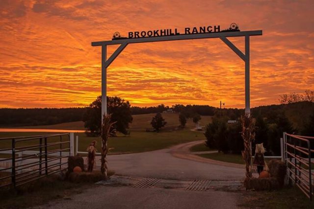 Brookhill Ranch Best Camping in Arkansas