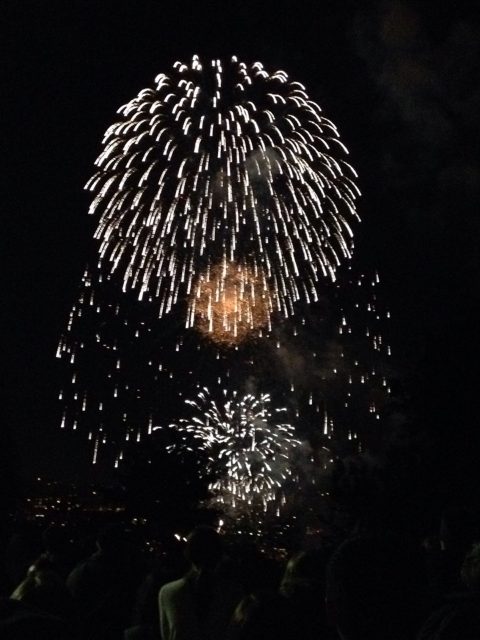 Fireworks Display Seattle MacLean Park