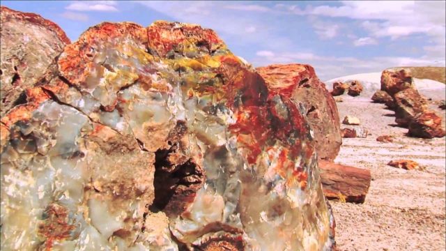 Petrified Forest National Park Arizona