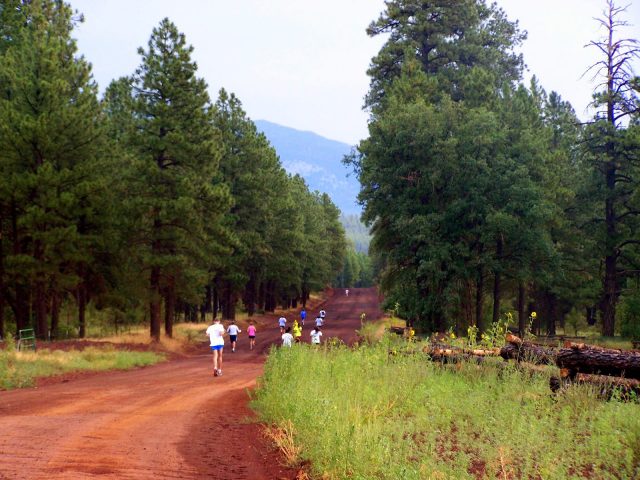 Flagstaff AZ Hiking Road Trail