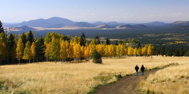 Flagstaff Hiking