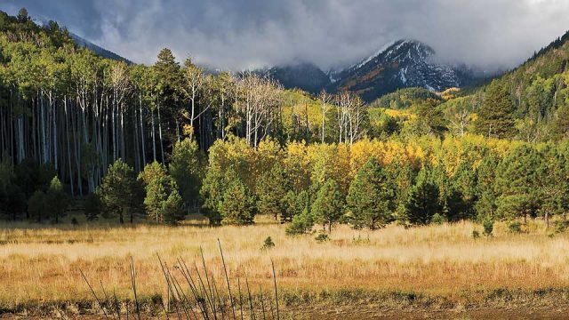 Flagstaff Hiking Trails Inner Basin