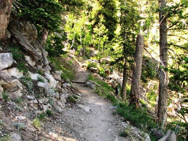 Hikes in Flagstaff Mt. Elden Lookout Trail