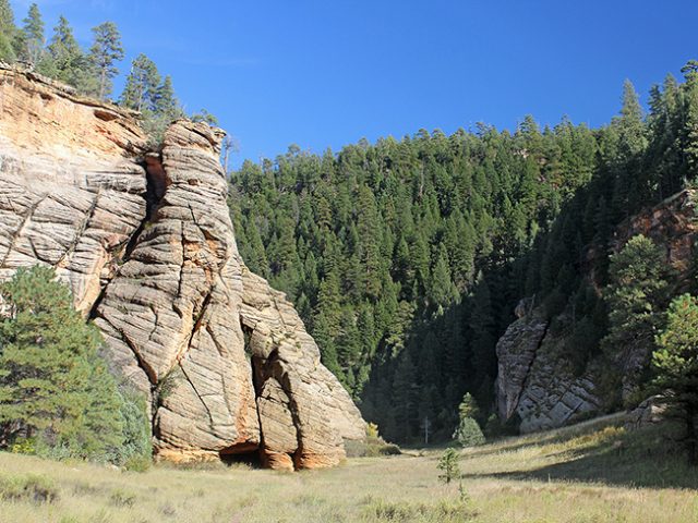 Hiking Trails Flagstaff Sandys Canyon