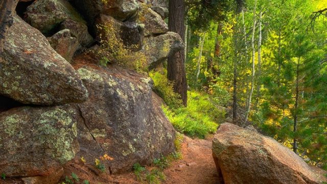 Hiking in Flagstaff Kachina Trail