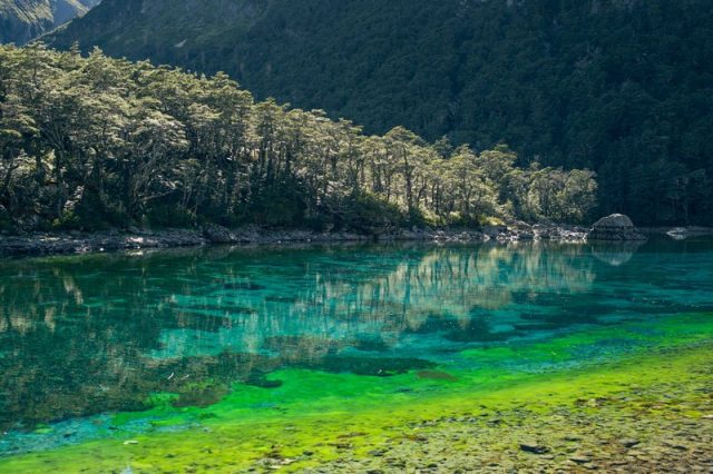 Blue Lake World's Clearest Lake