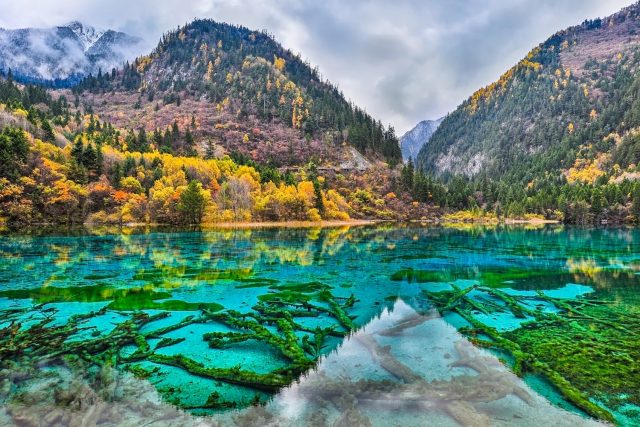 10 Pristine Clearest Lakes in the World to Mesmerize Your Eyes ...