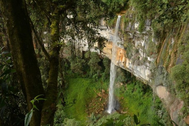Tallest Waterfalls Yumbilla Falls