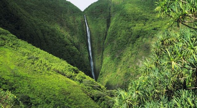 The Highest Waterfall in the World Pu’uka’oku Falls