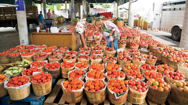 Nashville Free Things to do Farmers Market