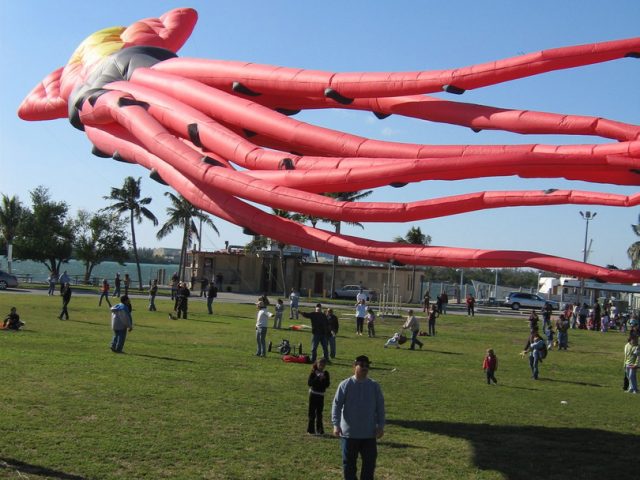 Miami Free Things to do Kitetober Kite Festival