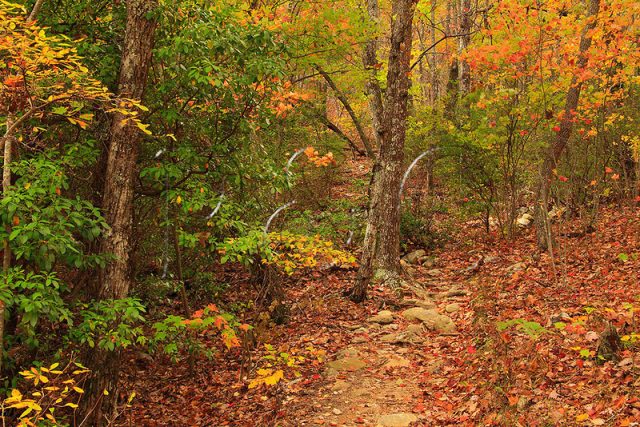 Al Talladega Pinhoti Hiking Trail Alabama