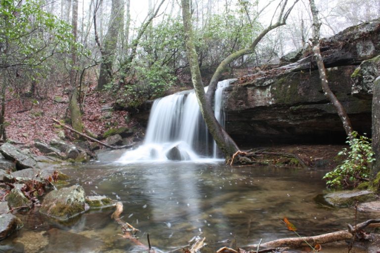 10 of the Best Hiking Trails in Alabama Flavorverse