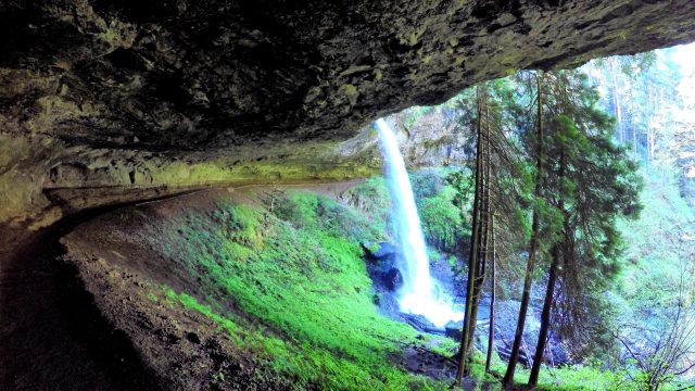 Overnight Free Camping Oregon Silver Falls Park for Camping in Salem