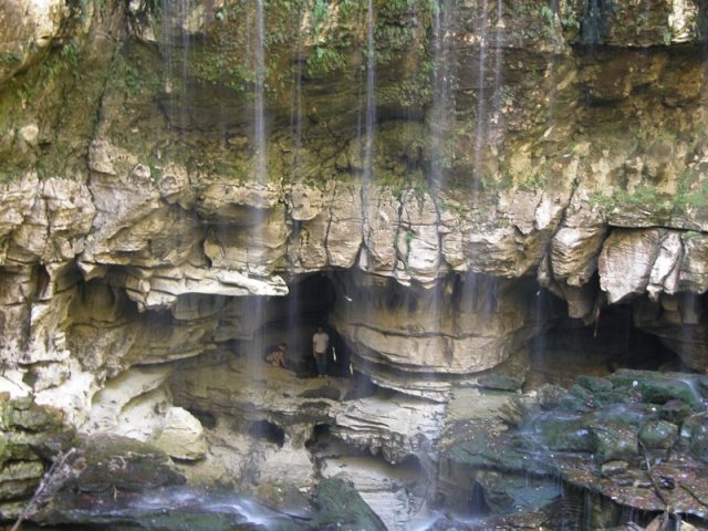 Virgin Tennessee in Waterfall