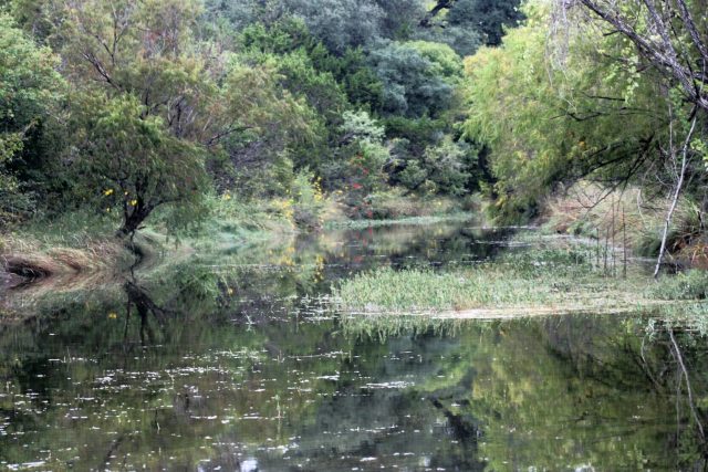 Austin Hiking Trails Hill Country Texas