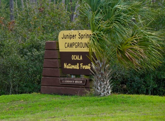 Ocala National Forest Free Camping in Florida