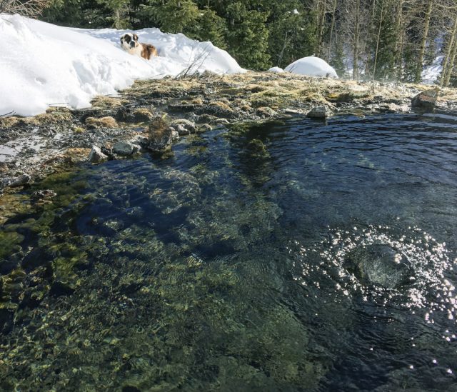 Durango Trimble Colorado Hot Springs